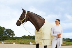 Derka Eskadron Platinum Pure Softshell Air Sunflower