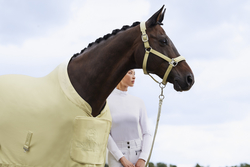 Derka Eskadron Platinum Pure Softshell Air Sunflower