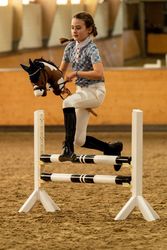 Konik HKM Hobby Horse brązowy/biały