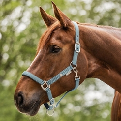 Kantar Waldhausen Florence alpineblue