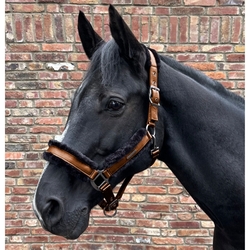 Kantar Waldhausen Paris Cinnamon