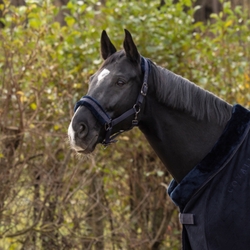 Kantar Covalliero z futerkiem AW24/25 Dark Navy
