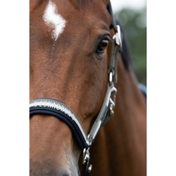 Kantar Eskadron Classic Sports Double Pin Navy/Greige/Dusty Olive