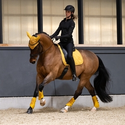 Nauszniki Eskadron Platinum Pearls Golden Yellow