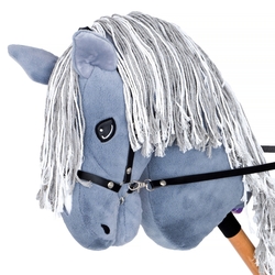 Hobby Horse Start GreyGracie