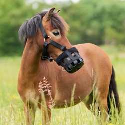 Kaganiec Imperial Riding czarny z futerkiem 