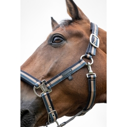 Kantar Eskadron Classic Sports Double Pin Ocean/Sierra/Navy