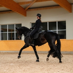 Czaprak Eskadron Platinum Pro Soft Glitter Black