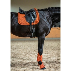 Czaprak Eskadron Platinum Sparkle Jewel Amber