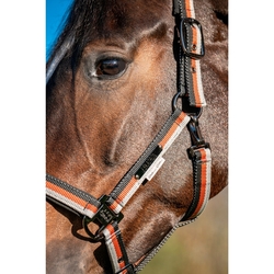 Kantar Eskadron Platinum Lightweight Double Pin Black/Pale Grey/Amber