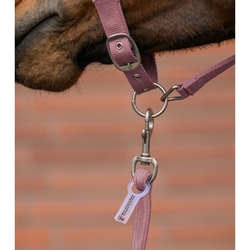 Kantar z uwiązem Waldhausen Velvet Pink