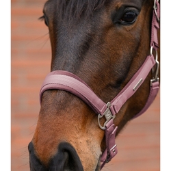 Kantar z uwiązem Waldhausen Velvet Pink