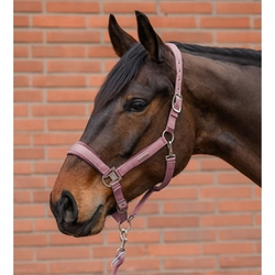 Kantar z uwiązem Waldhausen Velvet Pink