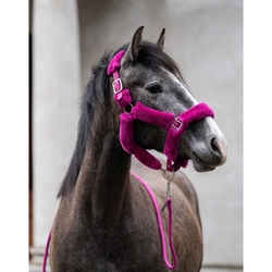 Kantar HKM Comfort magenta