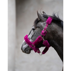 Kantar HKM Comfort magenta
