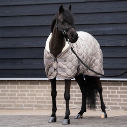 Derka pokazowa Imperial Riding Bandit Elegant Show Taupe