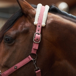 Kantar Imperial Riding Jewel Mauve