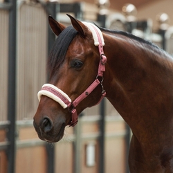 Kantar Imperial Riding Jewel Mauve