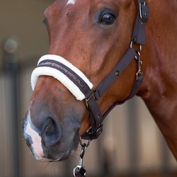 Kantar Imperial Riding Jewel Chocolate