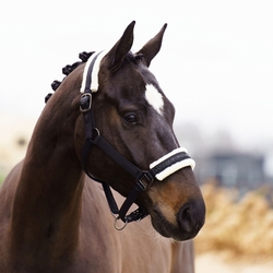 Kantar Imperial Riding Jewel Black