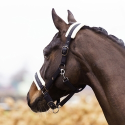 Kantar Imperial Riding Jewel Black
