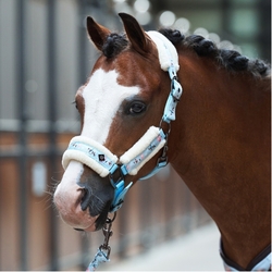 Kantar Imperial Riding Little Champion Light Blue