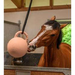 Piłka dla konia Waldhausen 25 cm Linnea Pink