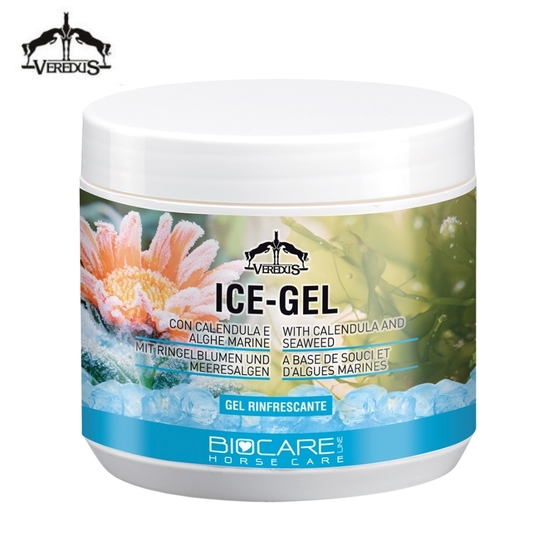 Żel chłodzący Veredus Ice gel 500ml