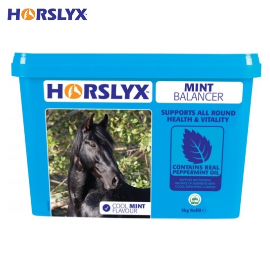 Lizawka Horslyx Mint na układ oddechowy 5kg