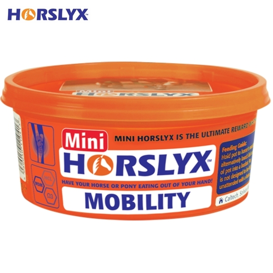 Lizawka Horslyx Mobility MINI na prawidłowe funkcjonowanie stawów 650g