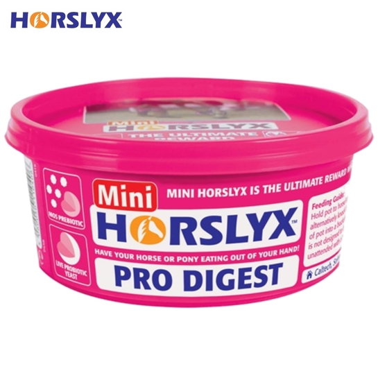 Lizawka Horslyx Pro Digest MINI na pracę układu pokarmowego 650g