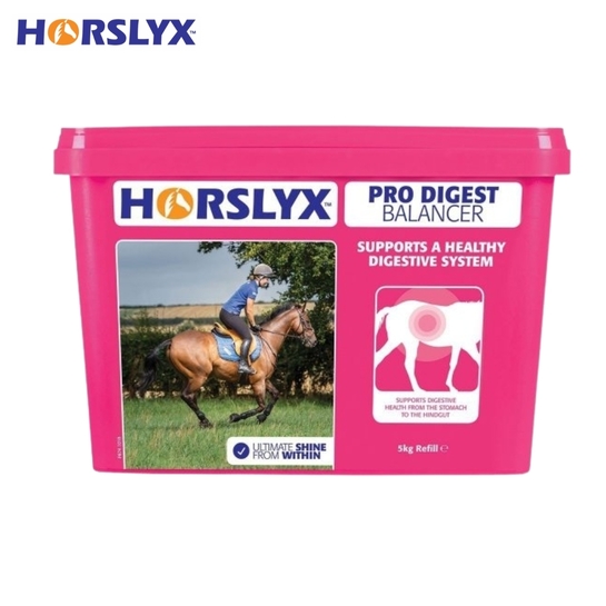 Lizawka Horslyx Pro Digest na pracę układu pokarmowego 5kg