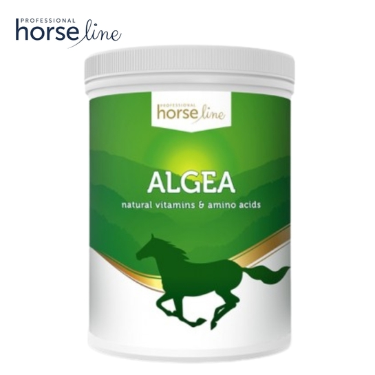 HorseLine Pro Algea źródło jodu