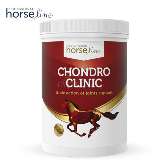 HorseLine Pro ChondroClinic ochrona aparatu ruchu
