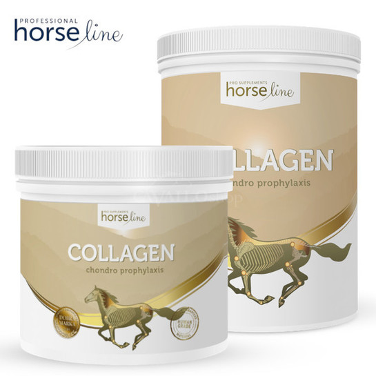 HorseLine Pro Collagen kolagen - suplement na stawy i regenerację ścięgien