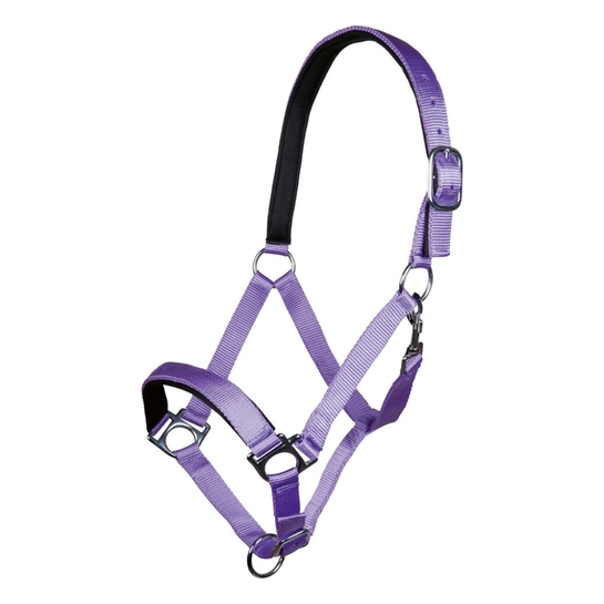 Kantar HKM Stars lila