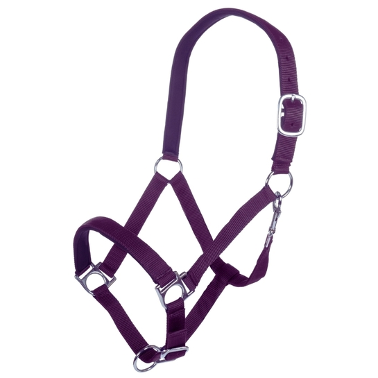 Kantar HKM Stars fioletowy