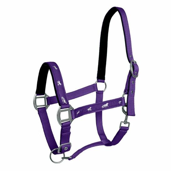 Kantar API Active Horses fioletowy