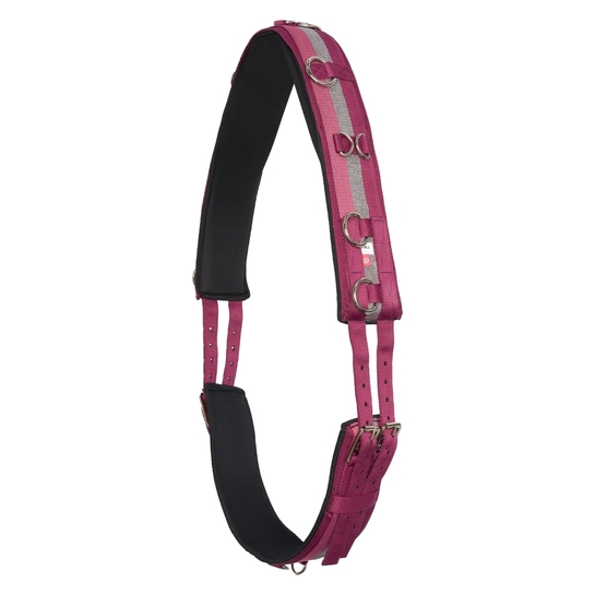 Pas do lonżowania Imperial Riding Rose/Bordo/Silver