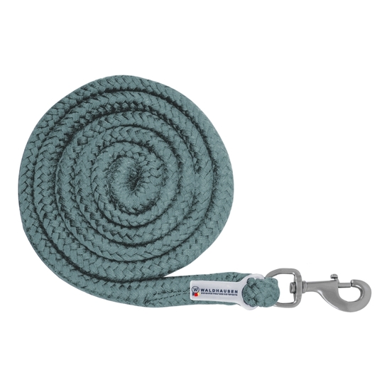 Uwiąz Waldhausen Plus karabinek zwykły pine green