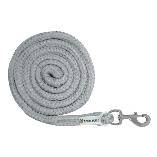 Uwiąz Waldhausen Plus karabinek zwykły chrome grey