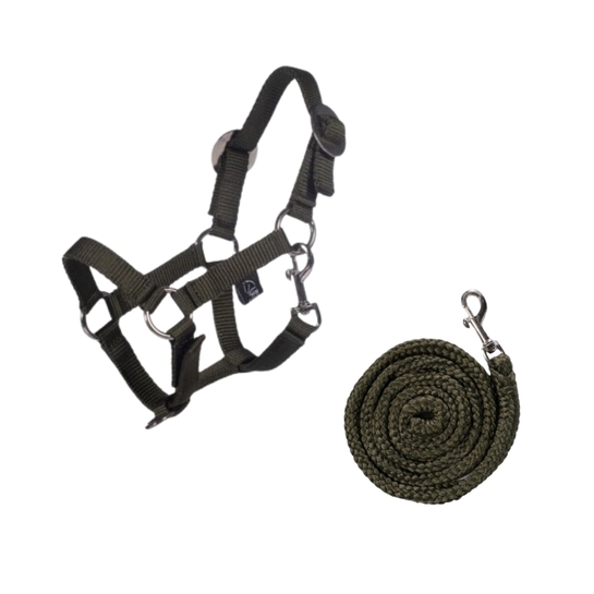 Kantar z uwiązem HKM Hobby Horse oliwkowy