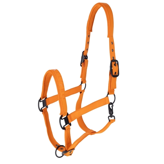 Kantar Covalliero AW26 Orange
