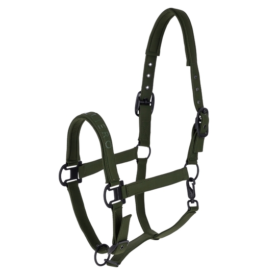 Kantar Covalliero AW26 Forest Green