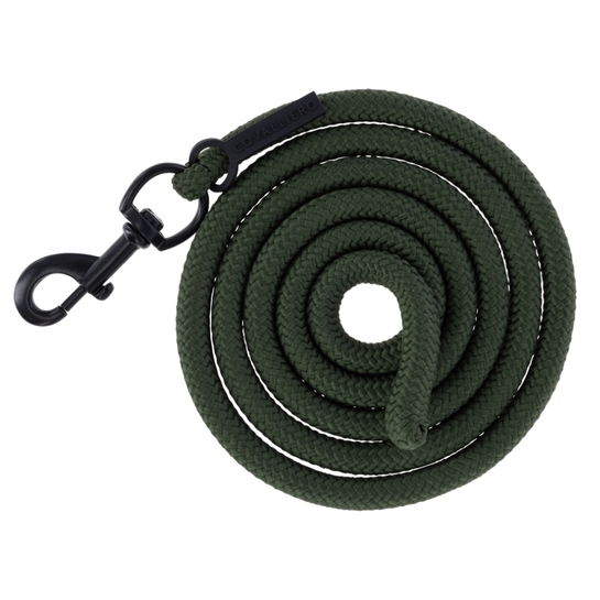 Uwiąz Covalliero AW26 Forest Green karabinek zwykły