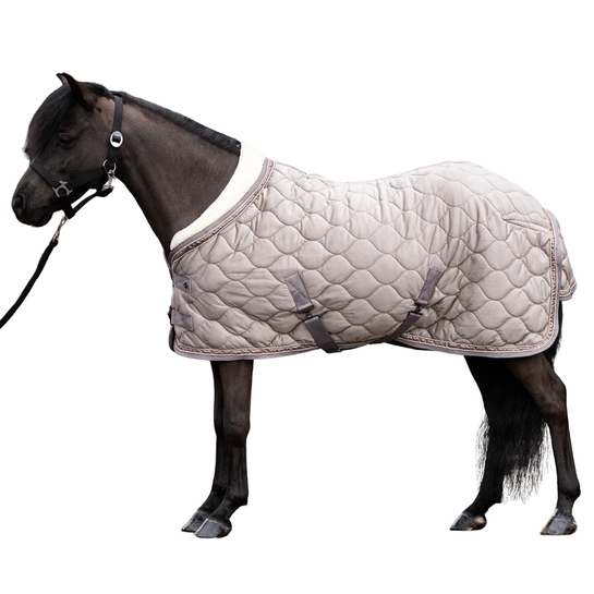Derka pokazowa Imperial Riding Bandit Elegant Show Taupe