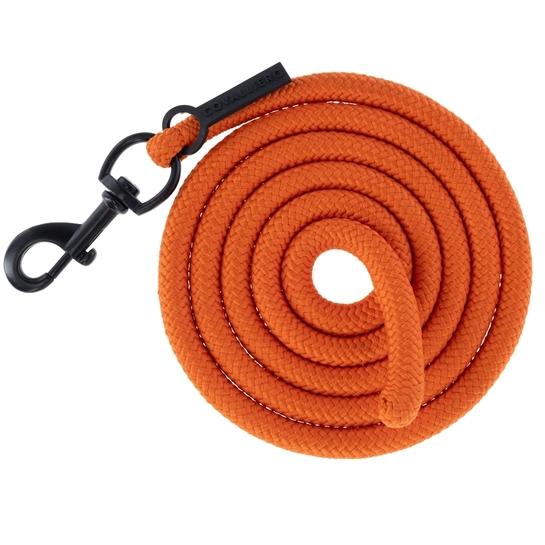 Uwiąz Covalliero AW26 Orange karabinek zwykły