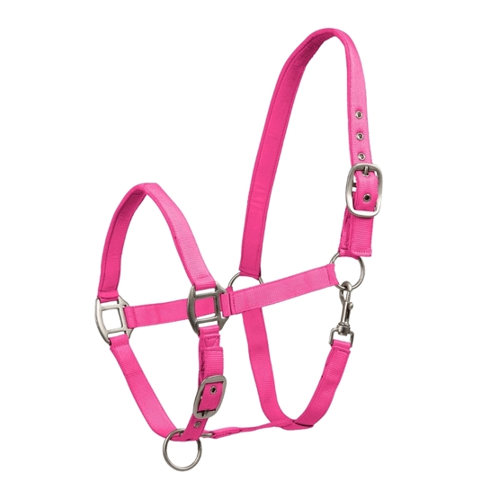Kantar Waldhausen Satin Pink