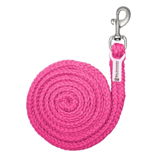 Uwiąz Waldhausen Plus karabinek zwykły Pink