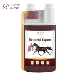 Over Horse Bronchi Equus na układ oddechowy